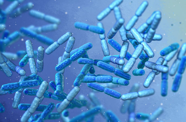Darmmikrobiom im Fokus: Der Mikrobiom-Test analysiert die Darmflora, erkennt Ungleichgewichte und unterstützt eine gezielte Therapie.
