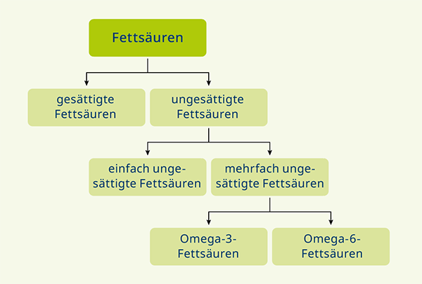 Systematik der Fettsäuren