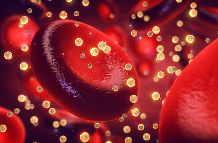 Rote Blutkörperchen im Blutstrom mit schwebenden Cholesterinpartikeln.