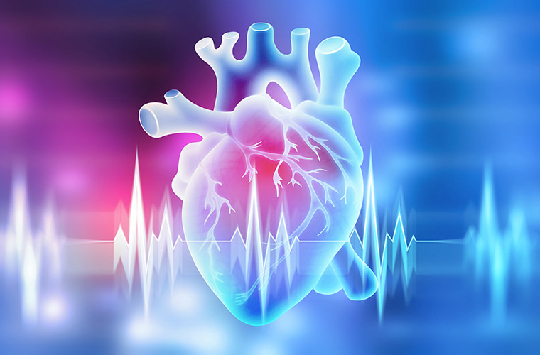 Herzgesundheit im Fokus – Laborparameter zur Früherkennung und Risikobewertung von Herz-Kreislauf-Erkrankungen.